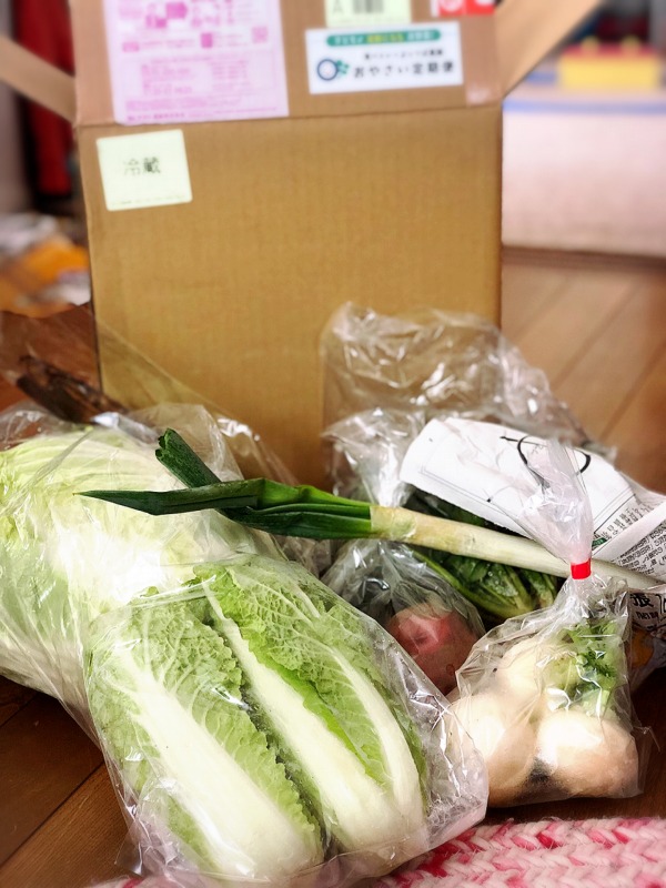 栃木県の自然農園よっつば農園のお野菜定期便×食べトレ お試しボックス注文してみました。